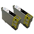2 X Cartridge EPSON T0801